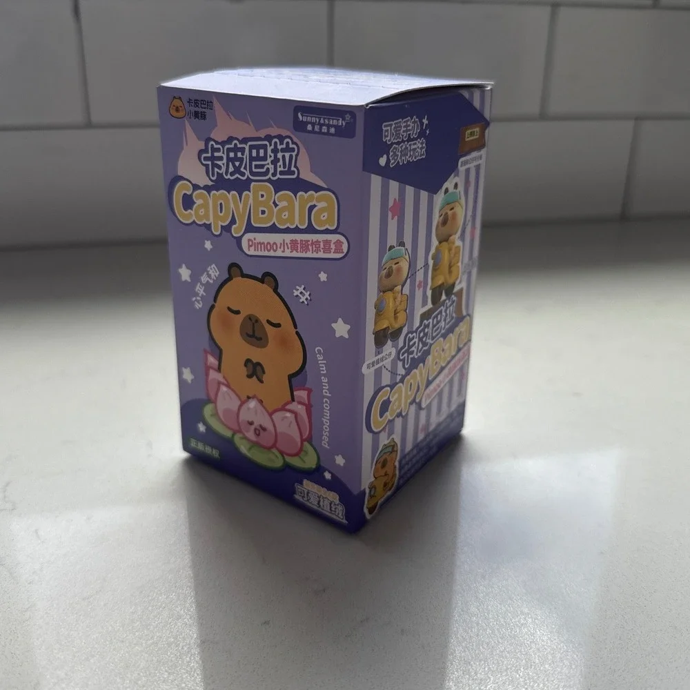 Sunny & Sandy CapyBara PIMOO Blind Box Sealed Collectible Figure 1 Random Toy
